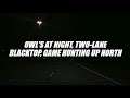 Owl's at night | Two-lane blacktop | Game hunting up north