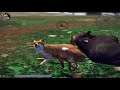 Ultimate Fox Simulator 2 VS Bear, Rabbit, Pig, Horse, Chicken Part 3