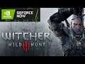 GEFORCE NOW with Low Connection Speed (10 - 20 Mbps) | Witcher 3