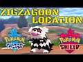 Pokemon Sword And Shield Zigzagoon Location