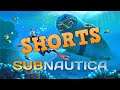 Subnautica #shorts