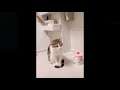 웃긴영상 귀여운 고양이, 강아지 Cute Pets And Funny Animals Compilation #34