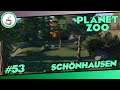 Das neue Wolf Gehege #53 «» Schönhausen Zoo 🦍 - PLANET ZOO Herausforderung | Deutsch German