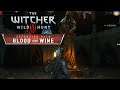 THE WITCHER 3: BLOOD AND WINE ⚔️ TRANSFORMATIONEN | #218