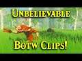 Unbelievable Botw Clips!