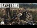 Days Gone - PS4 - Let´s Play 30 - Vergesst was ich gesagt habe