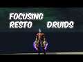 Focusing Resto Druids - Havoc Demon Hunter PvP - WoW BFA 8.2