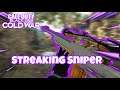 the BEST SNIPER to go on STREAKS with! - Black Ops Cold War Gameplay