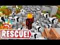 I RESCUED THE PANDA ARMY In LAZARBEAMS MINECRAFT SERVER..