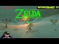 Let's Play The Legend of Zelda Breath of the Wild Challenge 100% Part 148: Staff Hunting 15