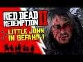 RED DEAD REDEMPTION 2 🤠 #02 - Little John in Gefahr ! - Let's Play RDR2