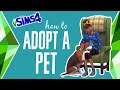 How to Adopt a Pet in The Sims 4 (Cats & Dogs) 🐶😸