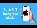 How to Turn on Incognito Mode on iPhone (2022)