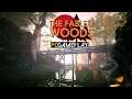The Fabled Woods Gameplay (PC)