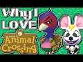 Why I LOVE Animal Crossing