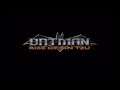 Batman: Rise Of Sin Tzu  - PlayStation 2 Game {{playable}} List (PcSx 2 on Ps Vita)