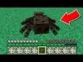 FAKİR 1 GÜNLÜĞÜNE ÖRÜMCEK OLDU! 😱 - Minecraft