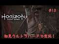 【ホラゼロ】Horizon Zero Dawnを初見ウルトラハードで実況プレイ Part13【ホライゾンゼロドーン】