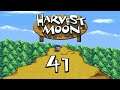 Let's Play - Harvest Moon #Part 41 - Mit dem Sommer kommen die Kühe