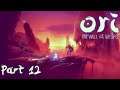 Let's Play ~ Ori and the Will of the Wisps ~ I Can Dig It