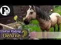 Zum Pferdehändler und schwimmen gehen #02 | Horse Riding Deluxe 2 | Let's Play