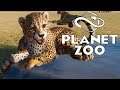 Big Cat Mountain! - Planet Zoo (Franchise) - Part 13