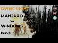 Dying Light | Manjaro 20.0.3 vs Windows 10 | RX 5700 + Ryzen 3 3300X | 1440p | DXVK vs DX11