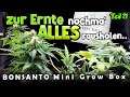 "SCROG" BEIM INDOOR-GROW? | Bonsanto Mini-Grow-Box