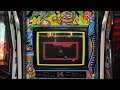 Zoo Keeper - Realistic Arcade Bezels for MAME