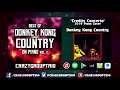 Credits Concerto Piano Cover | Donkey Kong Country