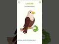 DOP 2: Delete One Part ๐โ๐ All level Gameplay Android / IOS Walktrough levels 206 - 211 #shorts