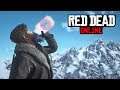 FUNNY MOMENTS! - Red Dead Online (RDR2 Funny Moments Compilation)