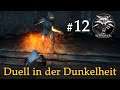 Let's Play The Witcher 1 #12: Duell in der Dunkelheit (Modded / Schwer)