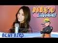 Naruto Shippuden - Opening 3 / Blue bird (Cover)