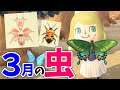 【あつ森】3月の虫を全て紹介！レアな虫の値段や捕まえ方をコンプしながら徹底解説！モルフォチョウやカラスアゲハが出ない理由も説明【あつまれどうぶつの森 攻略】