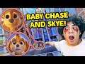 I FOUND BABY CHASE AND SKYE IN THE PAW PATROL SECRET TOWER!! (BABY PAW PATROL ON CAMERA)
