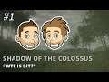 Game On: Shadow of the Colossus (Aflevering 1) - Dit is een speedun!