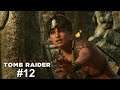 Let's Play Shadow of the Tomb Raider Gameplay German #12:Höhle der Opfergabe!!!