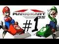 Mario kart DS PART 1 Gameplay Walkthrough - iOS / Android