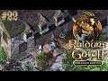 Холмы Умар — Baldur’s Gate 2: Enhanced Edition Прохождение игры #22