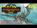 Imrik vs Skarsnik...| #20| Let's Play: Total War: Warhammer 2 Imrik ME