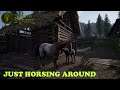 Medieval Dynasty S2 Ep 17     Test version 0 3 0 0    HORSES    that I can not ride but we have a lo