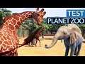 Planet Zoo im Test / Review