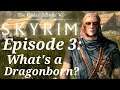 What is a Dragonborn? - Skyrim