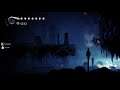 Apex - Hollow Knight (Part 11)