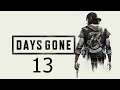 Directo De Days Gone| Gameplay , Episodio #13 |Ps4 Pro 1080p|