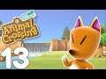 Let's Play: Animal Crossing New Horizons - A Suspicious Visitor