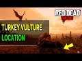 Red Dead Online Turkey Vulture Location