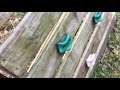 Abandoned Disney Swing N Slide playground in my backyard