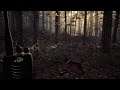 Blair Witch Gameplay (PC UHD) [4K60FPS]